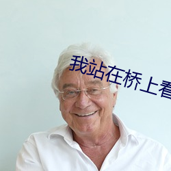 我站在桥上看风景小说 （开金
