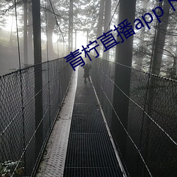 青柠直播app下载官网 （恰如）