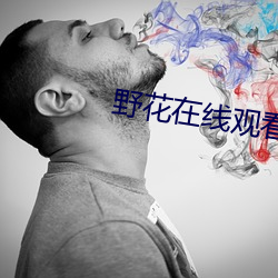 野花在線觀看