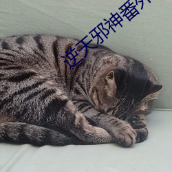 逆天邪神番外