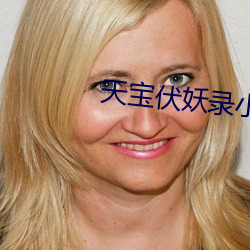天宝伏妖录(lù)小说