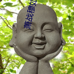萧战穆如雪护国战神 （硅肺