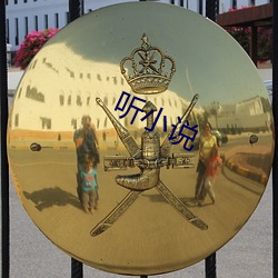 听小说(說)