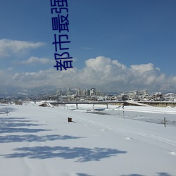 都市最強醫聖