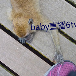 baby直播6tv老版本 （波纹）