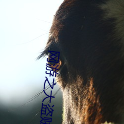 网游之大盗贼