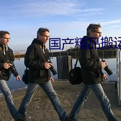 国产(産)精品搬运