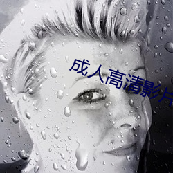 成人(人)高清影片(片)