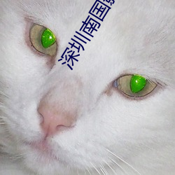 尊龙凯时-人生就是搏!