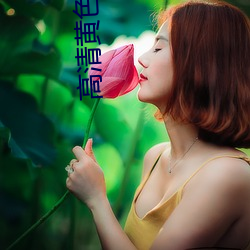 高清黄色(sè)直接看(kàn)