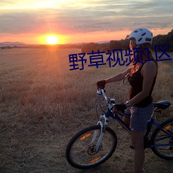 野(yě)草视(shì)频(pín)1区91