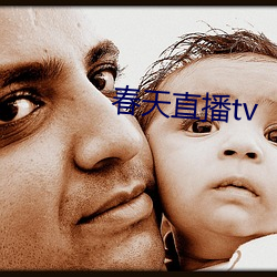 春天直播tv