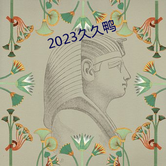 2023久久鸭