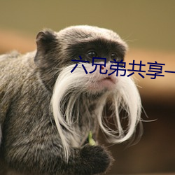 六(liù)兄弟共享一妻