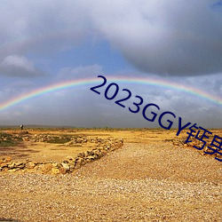 2023GGY钙男男视(shì)频