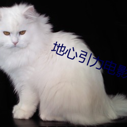 地(地)心(心)引力电影(影)在线观看(看)完整(整)