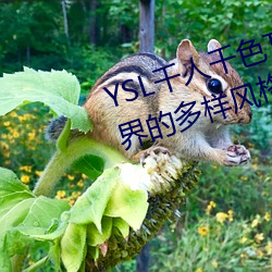 YSL千人千色T9T9T9T9MBA:时尚界的多样风格 （切肤之痛）