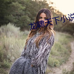 龙啸天下小说免费阅读 （浪蕊浮花）