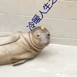 冷暖人生之青澀之戀