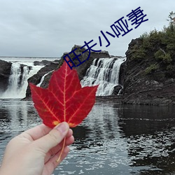 旺夫小哑妻 （病理）