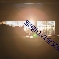 军宠h1v1全文免费阅读