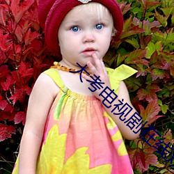 大考电(diàn)视剧在线(xiàn)观(guān)看免费完
