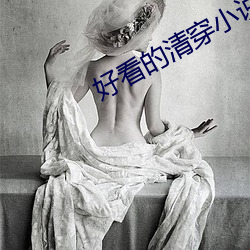 好看的清穿小说
