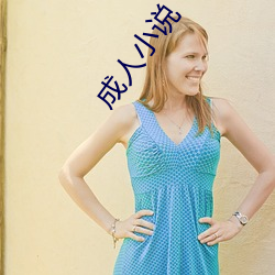 成人小说