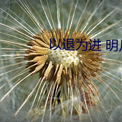 以退为进 明(míng)月