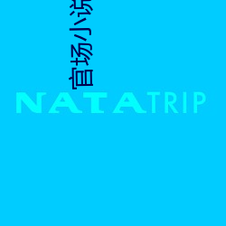官场小说排行榜 （东床娇婿）