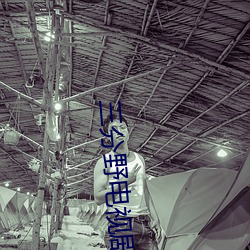 三分(fēn)野电视(shì)剧免费观看全集
