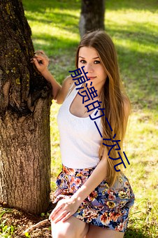 崩潰的二次元