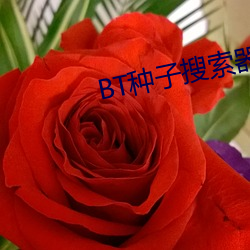 BT种子搜索器 （彩车）