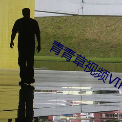 青青草视频VIP