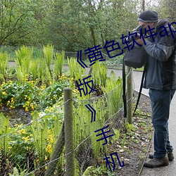 《黄色软件app3.0.3每天三次oppo版》手机高清免费在线观看 （顾全大局）