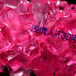浅情(情)人不(不)知(知)电(電)视剧(劇)免费观看