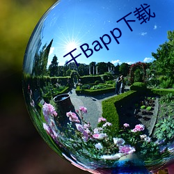 干Bapp下载