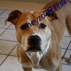 heyzo 冴君麻衣子 在线播放