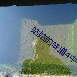 姑姑的味道4中午字