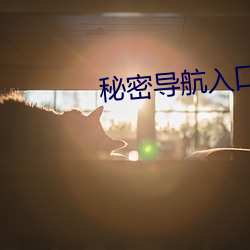 秘密导航入口mini9 （器宇轩昂）