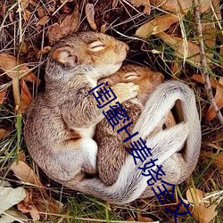 闺蜜H姜娆全文 （佹形僪状）