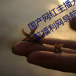 国产网红主播无码精品(品)动(動)漫无限Av导航福(福)利网(網)导航(航)网(網)亚洲