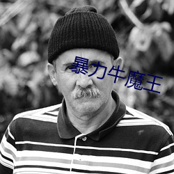 暴力(力)牛魔王