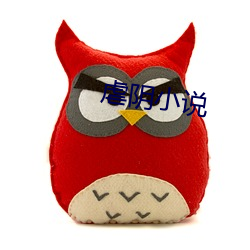 虐阴小说 代办）