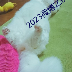 2023微博之夜完整回放免费观看