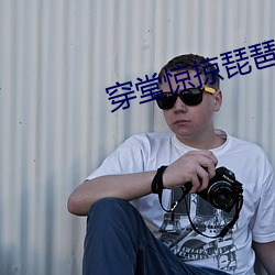 穿堂惊掠琵琶声 （中间派）
