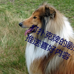 打扑克牌(pái)的(de)剧烈(liè)运动视(shì)频不盖被子能推送喜好内容
