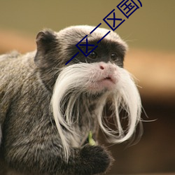 一区(qū)二区国(guó)产好的(de)精华液SUV