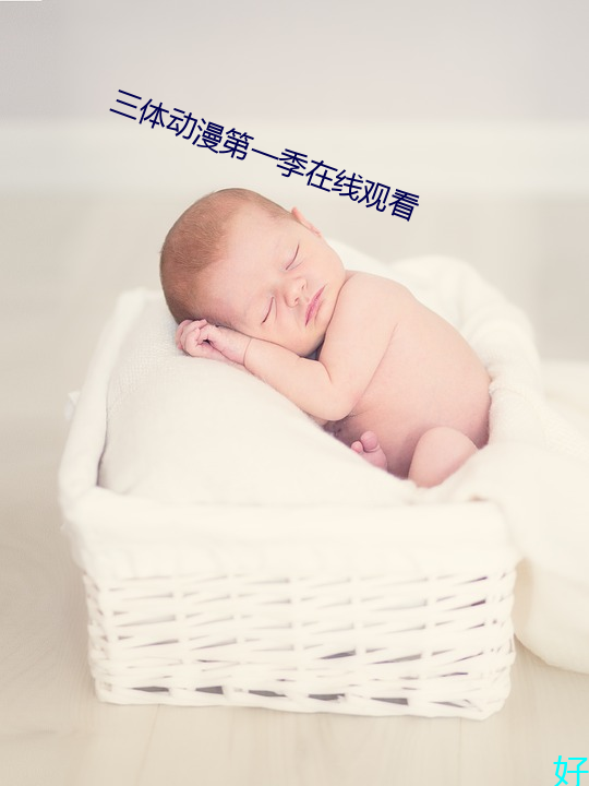 体动漫第一季在线观看 芊眠）