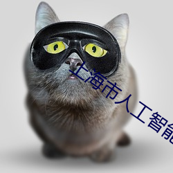 上海市人工智能技术协会